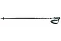 FISCHER PROGRESSOR CARBON, model 2013/14