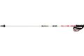 ATOMIC REDSTER CARBON COMPOSITE, model 2014/2015