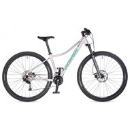 AUTHOR Spirit 29 ASL White/Silver/Green