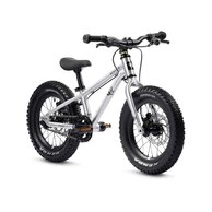 EARLY RIDER Seeker 14 Brushed