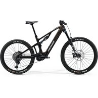 MERIDA eONE-SIXTY 7000 Guarded Gold (Silver)