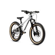 EARLY RIDER Hellion 20 Brushed Aluminium