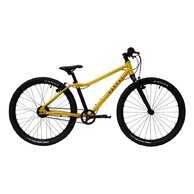 RASCAL 24 Nexus 7s Gold