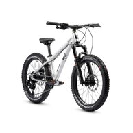 EARLY RIDER Charger 20 Brushed