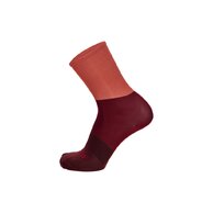 Ponožky SANTINI Big Bengal Orange