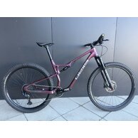 PELLS Duke FS 2 Eggplant