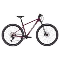 PELLS Duke 1 Eggplant