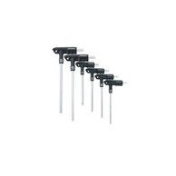 Inbusová sada TOPEAK T-Handle Duohex Wrench set