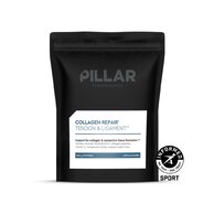 PILLAR Collagen Repair 260g