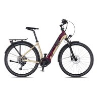 4EVER Comfort Sport Trek 720 Dark/Wine