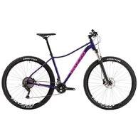 ROZZO Rose 40 Dark Purple/Brilliant Pink