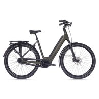 SUPERIOR eWAY 6.0 Dark Green Matte
