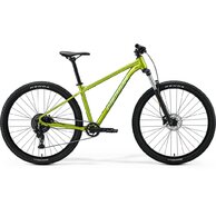 MERIDA Big.Nine 20 Fall Green (Silvergreen)