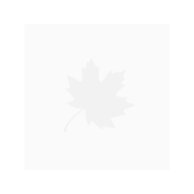 NORCO Spacer Id15 Od22 L4.5 913300-034