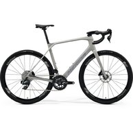 MERIDA Scultura Endurance RIVAL EDITION Silk Grey (Blue)