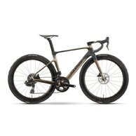 RAYMON Arva Elite Multi Gold/Carbon