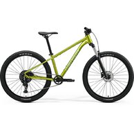 MERIDA Big.Seven 20 Fall Green (Silvergreen)