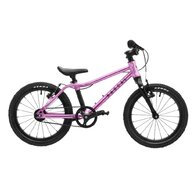 RASCAL 16 Raspberry