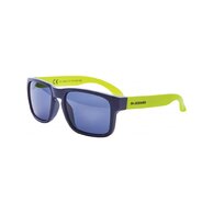 Brýle BLIZZARD Sun glasses PCC125331, dark blue matt