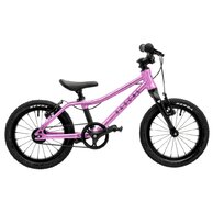 RASCAL 14 Raspberry