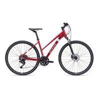 CTM Bora 2.0 Matte Dark Red Pearl/Hologram