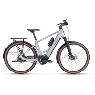 STEVENS E-Courier 9.9.1 HT Silver Fjord