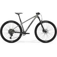 MERIDA Big. Nine TR 600 Silk Gunmetal Grey (Black)