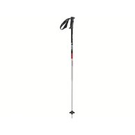 Hole LEKI Rental Classic anodized silver-anodized black