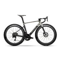 RAYMON Arva Ultimate Carbon/Champagne