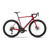 RAYMON Kirana Ultra Carmine Red Stealth