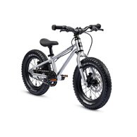 EARLY RIDER Seeker 14 Brushed