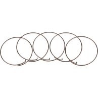 Náhradní díly FULCRUM Spring for pawl FW body MTB (5pcs)
