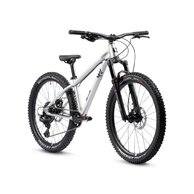 EARLY RIDER Charger 24 Brushed