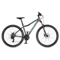 AUTHOR Rival 27.5 ASL Silver Matt/Green