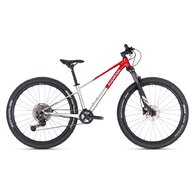 SUPERIOR TEAM 27.3 Gloss Brushed Alu/Red