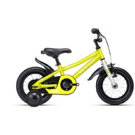 CTM Billy Matt Yellow