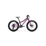 MERIDA Matts J.20+ Purple (Black/Champagne)
