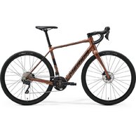 MERIDA eSILEX 400 Silk Bronze Metal (Black)