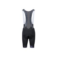 Kraťasy se šráky a vložkou FORCE Stripe Black/Grey