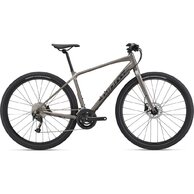 GIANT ToughRoad SLR 2 Metal