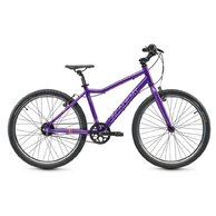 ACADEMY Grade 5 Belt 24 Nexus Purple