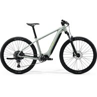 MERIDA eBig.Nine 675 Matt Early Moss Grey (Green)