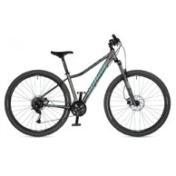 AUTHOR Solution 29 ASL Silver Matt/Green