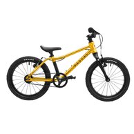 RASCAL 16 Gold