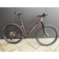 PELLS Duke 1 Eggplant