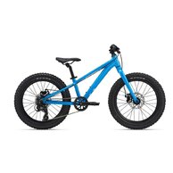 LIV STP 20 Blue