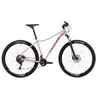 ROZZO Rose 40 Pink/Purple
