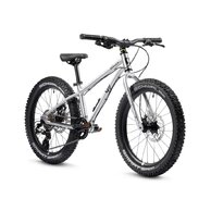 EARLY RIDER Seeker 20 Brushed