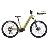 CTM Roxxy GX Matt Gold