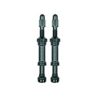 Ventilek SKS Airspy Valve TL